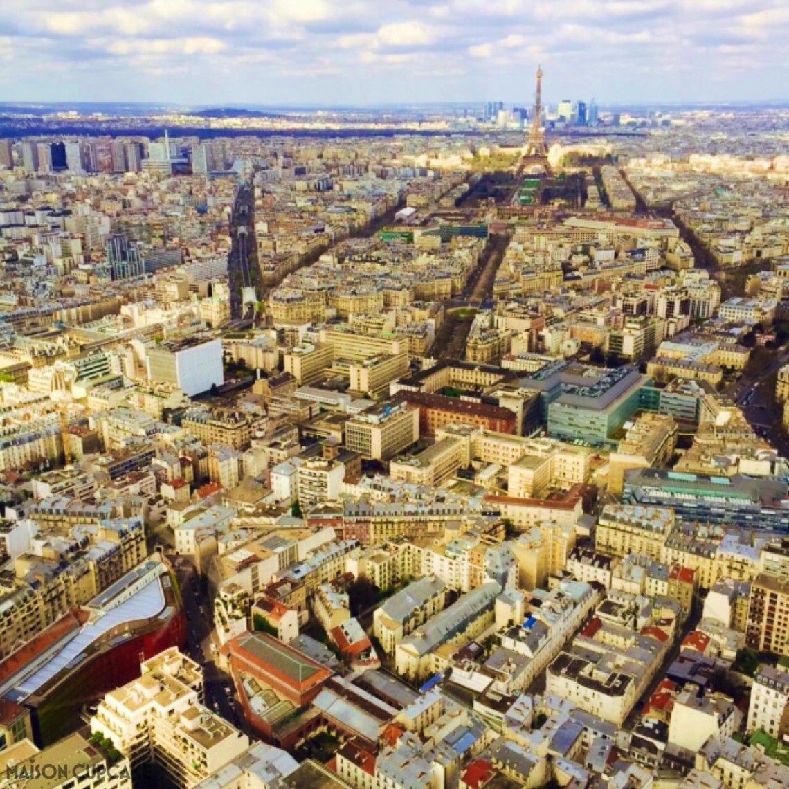 View from Montparnasse Tower Paris