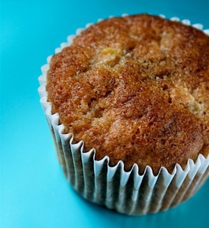Rhubarb Muffins - a single muffin on blue background