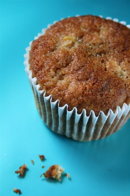 Rhubarb Muffins