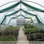 Garden at Le Manoir aux Quat' Saisons