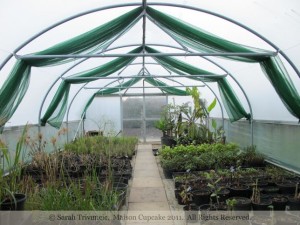 Garden at Le Manoir aux Quat' Saisons