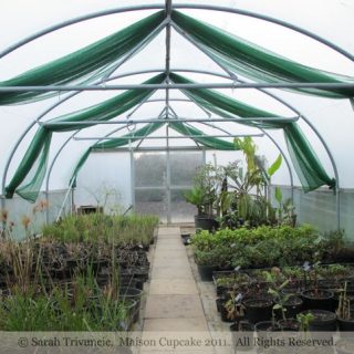 Garden at Le Manoir aux Quat' Saisons