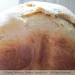 Morphy Richards bread maker: pros and cons REVIEW