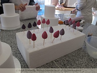 Peggy Porschen class March 2011 by Sarah Trivuncic Maison Cupcake