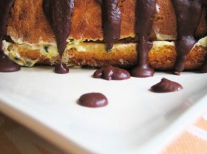 Chocolate passionfruit roulade