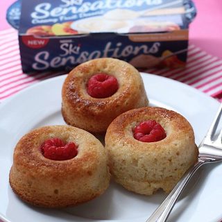 Raspberry Baked Doughnuts using Ski Sensations yogurt