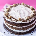 Chocolate Chestnut Cake