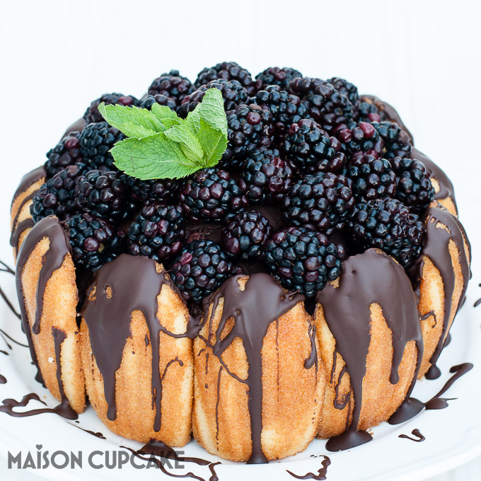 How to make Chocolate Blackberry Charlotte Cake easy showstopper bombe with quark mousse See step by step photos at development.maisoncupcake.com