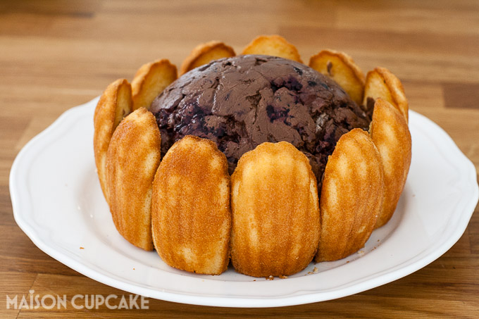 How to make Chocolate Blackberry Charlotte Dessert easy showstopper bombe with quark mousse See step by step photos at development.maisoncupcake.com