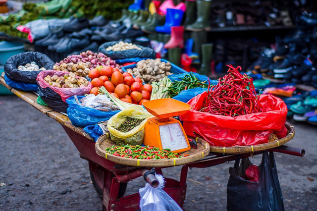 Glorious-Soups-Competition-2