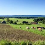 Franche Comte in France's Jura mountains - and The cows who keep the wheels of Comte cheese turning