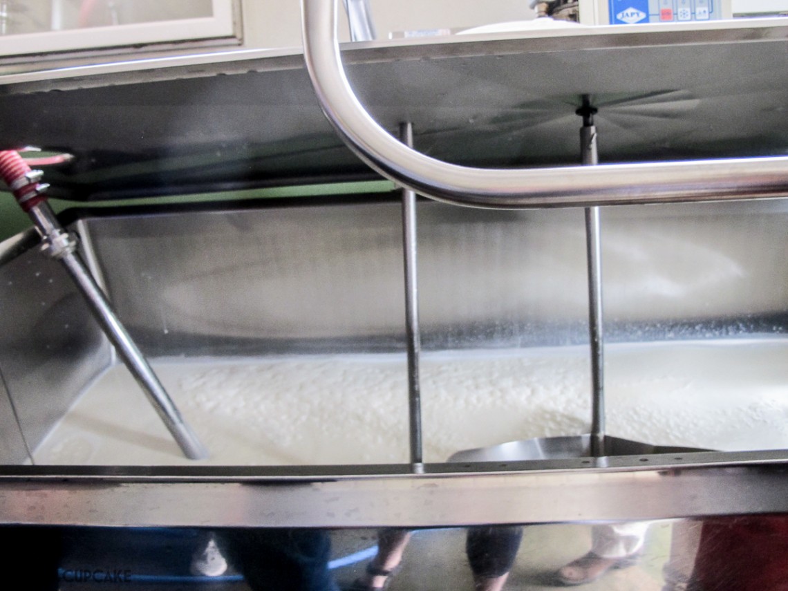 Raw milk kept in a vat at 12c before being transported to the dairy to make Comte Cheese