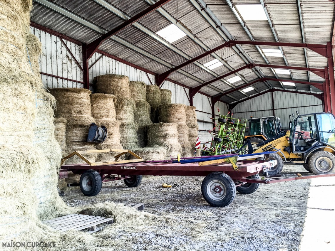 Barns to be loaded with hay bales to feed the cows throughout winter.