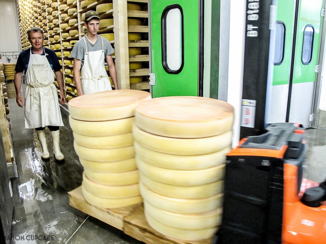 Young wheels of Comte cheese at a Franche Comte dairy