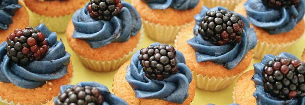 Mini Blackberry Cupcakes