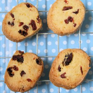Slice and Bake Orange Cookies with Cranberry
